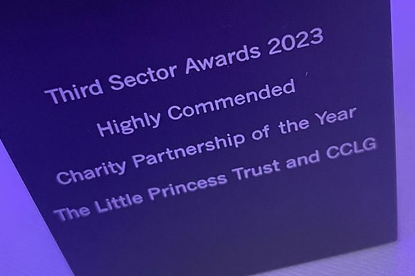 Photo of the prize won by the charities at the Third Sector Awards